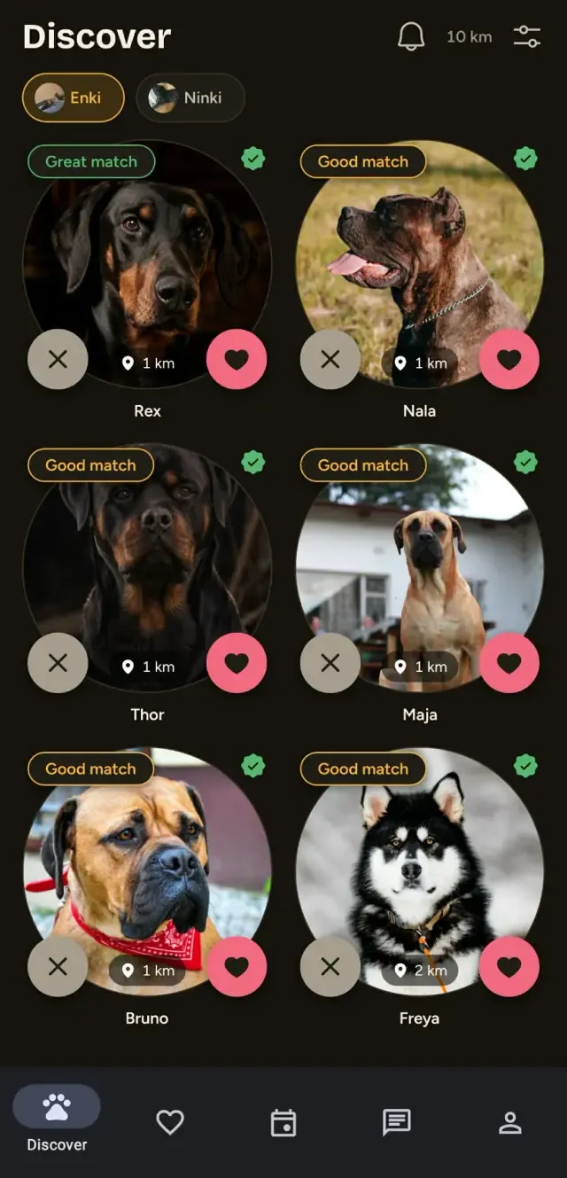 The Fennaro app on a phone, showing the Discover screen with nearby dogs, how well each one matches, and how far away they are.